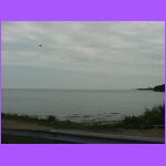 Driving Along The Road.jpg